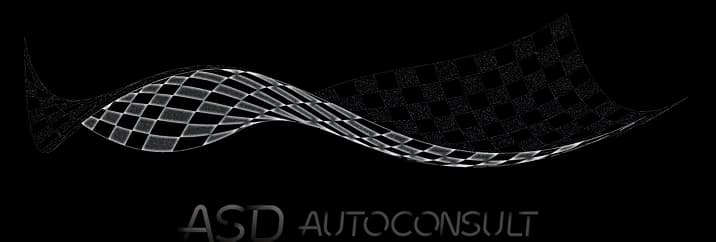 ASD Autoconsult – Organizer on RallyGuide – Logo